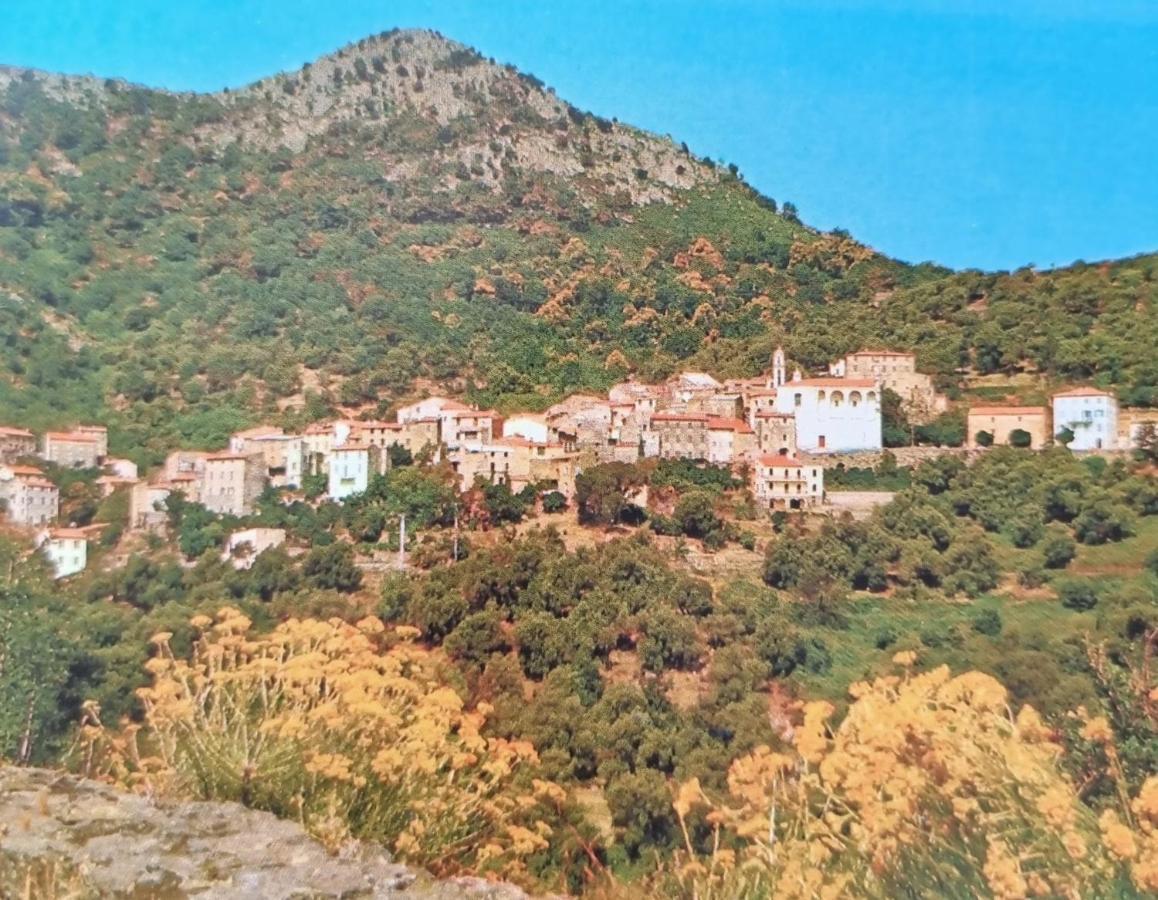 A Stalla Maison De Vacances 6 Personnes Muro  Extérieur photo
